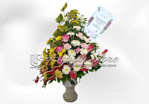 IMG-PRODUCT
